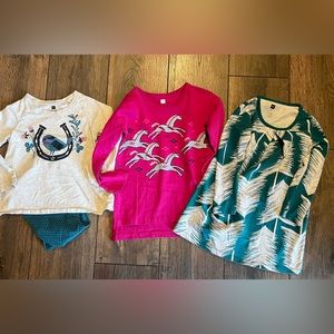 Tea Collection 4T Winter Lot